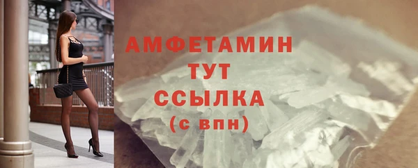 ГАЛЛЮЦИНОГЕННЫЕ ГРИБЫ Горно-Алтайск