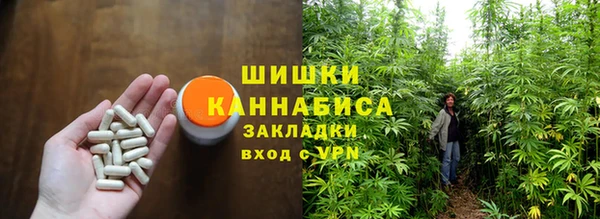 ГАЛЛЮЦИНОГЕННЫЕ ГРИБЫ Горно-Алтайск