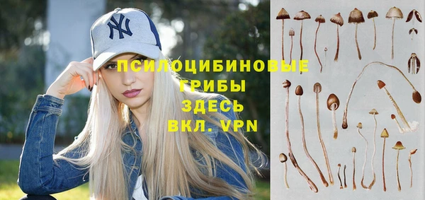 ГАЛЛЮЦИНОГЕННЫЕ ГРИБЫ Горно-Алтайск