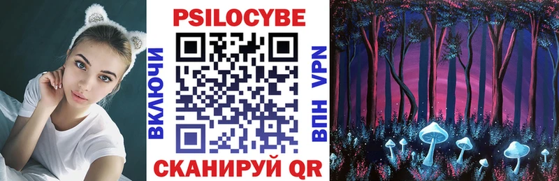 Купить закладки  Вологда  Галлюциногенные грибы Psilocybine cubensis 